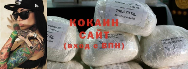 кокс Алексин