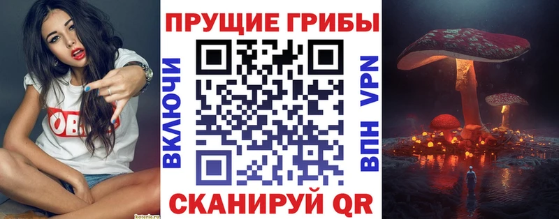 наркошоп  mega ссылки  Галлюциногенные грибы Cubensis  Калач-на-Дону 